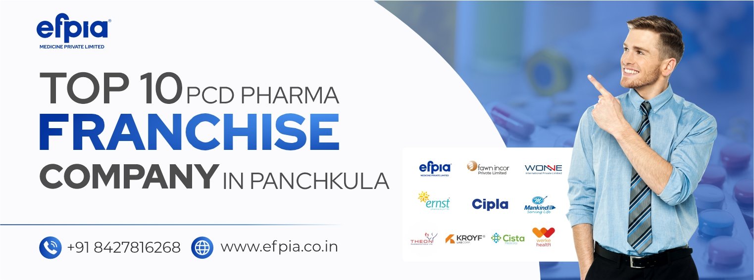 Top 10 PCD Pharma Franchise Companies in Panchkula